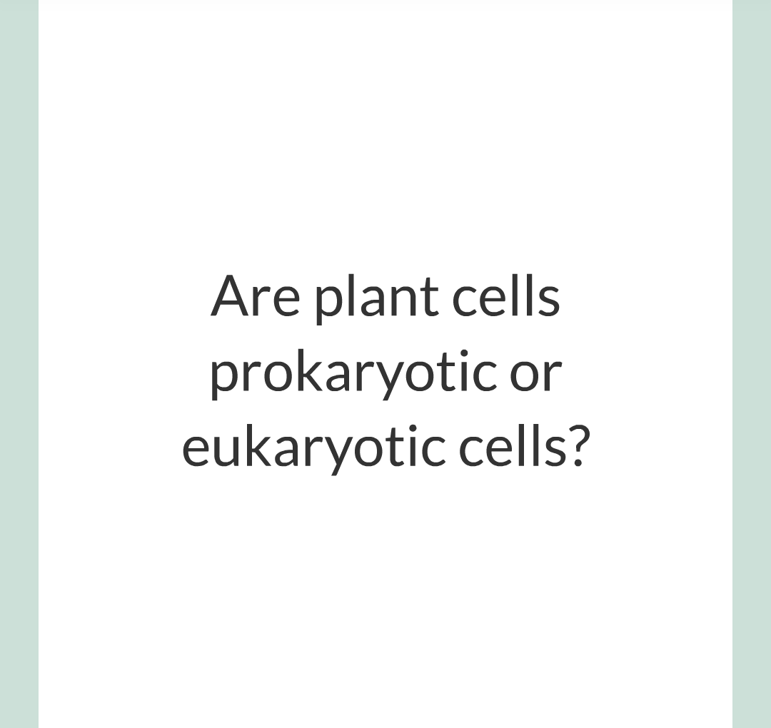 ../../../Biology/Biology Flashcards/0610 MC Questions from Key Cards/1 - Cell Biology/1 - Prokaryotic and Eukaryotic Cells/01.png