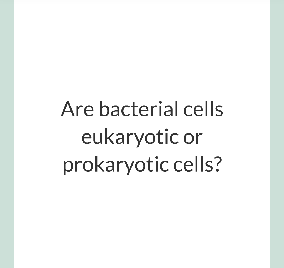 ../../../Biology/Biology Flashcards/0610 MC Questions from Key Cards/1 - Cell Biology/1 - Prokaryotic and Eukaryotic Cells/03.png
