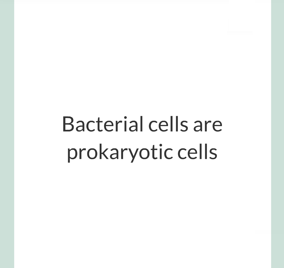 ../../../Biology/Biology Flashcards/0610 MC Questions from Key Cards/1 - Cell Biology/1 - Prokaryotic and Eukaryotic Cells/04.png