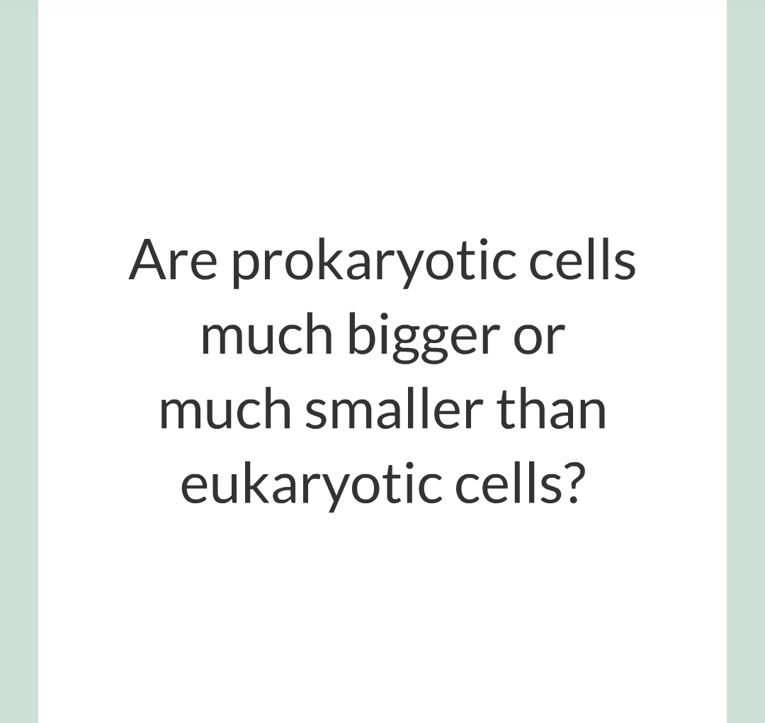 ../../../Biology/Biology Flashcards/0610 MC Questions from Key Cards/1 - Cell Biology/1 - Prokaryotic and Eukaryotic Cells/05.png