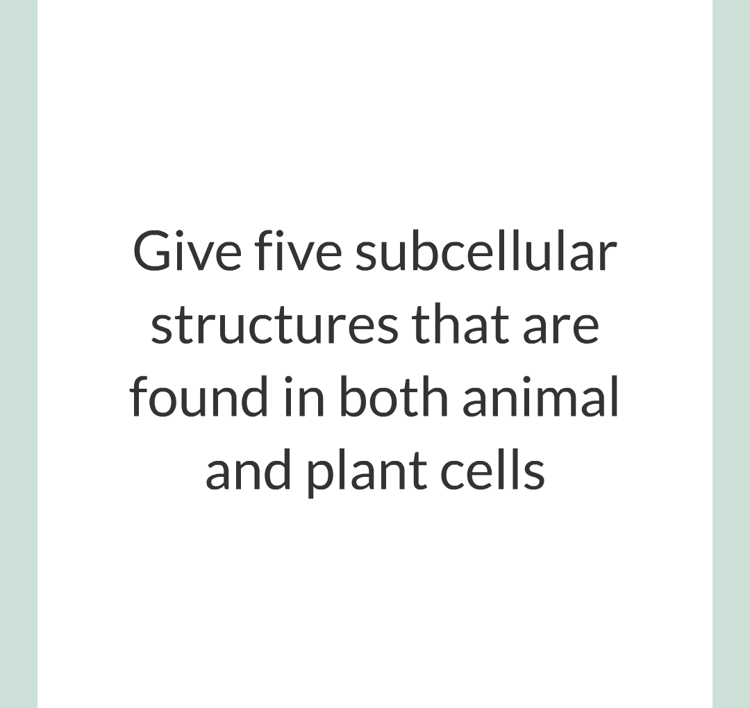 ../../../Biology/Biology Flashcards/0610 MC Questions from Key Cards/1 - Cell Biology/2 - Cell Structures/01.png