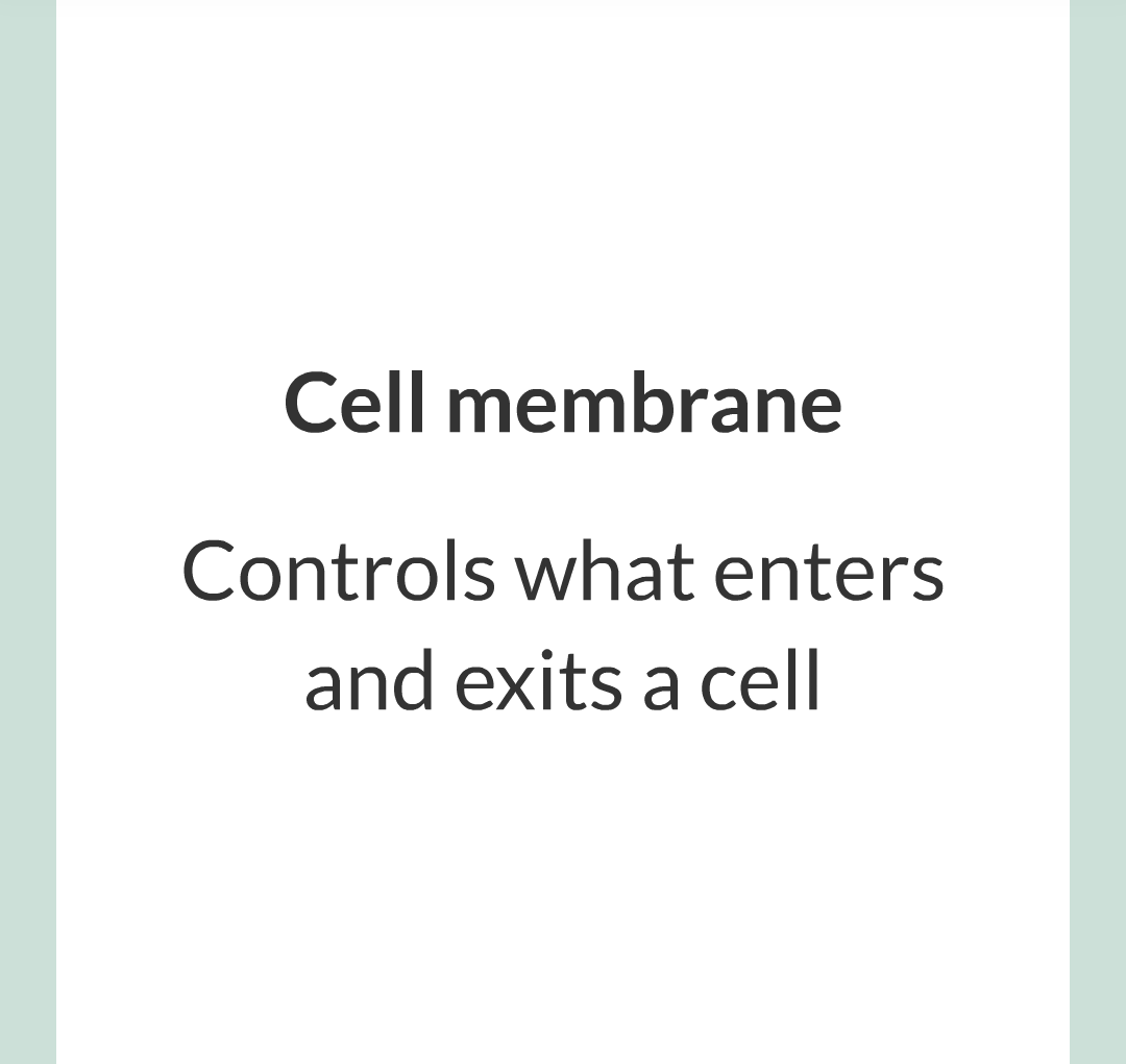 ../../../Biology/Biology Flashcards/0610 MC Questions from Key Cards/1 - Cell Biology/2 - Cell Structures/12.png