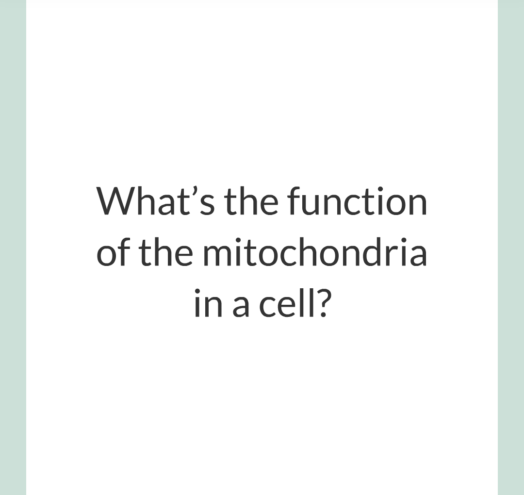 ../../../Biology/Biology Flashcards/0610 MC Questions from Key Cards/1 - Cell Biology/2 - Cell Structures/13.png