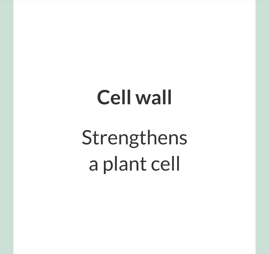 ../../../Biology/Biology Flashcards/0610 MC Questions from Key Cards/1 - Cell Biology/2 - Cell Structures/18.png