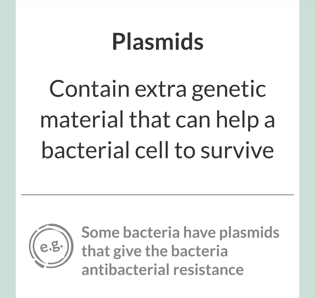 ../../../Biology/Biology Flashcards/0610 MC Questions from Key Cards/1 - Cell Biology/2 - Cell Structures/20.png