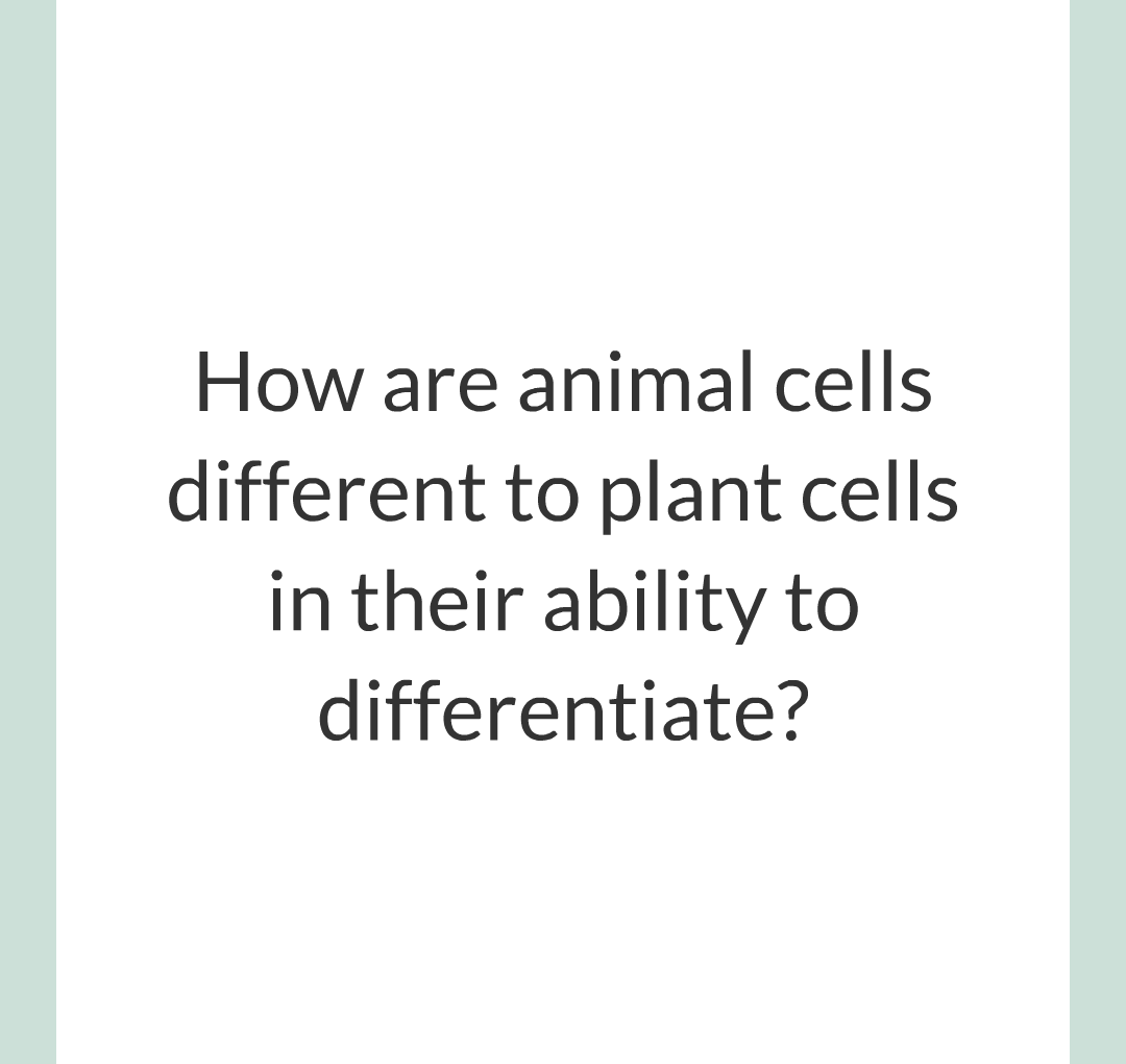 ../../../Biology/Biology Flashcards/0610 MC Questions from Key Cards/1 - Cell Biology/4 - Specialization and Differentiation/03.png