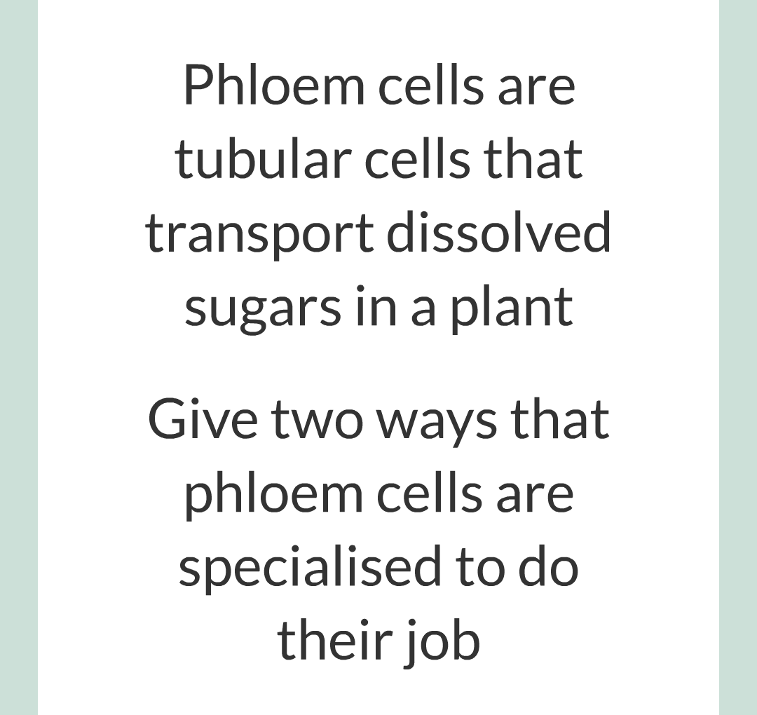 ../../../Biology/Biology Flashcards/0610 MC Questions from Key Cards/1 - Cell Biology/4 - Specialization and Differentiation/15.png