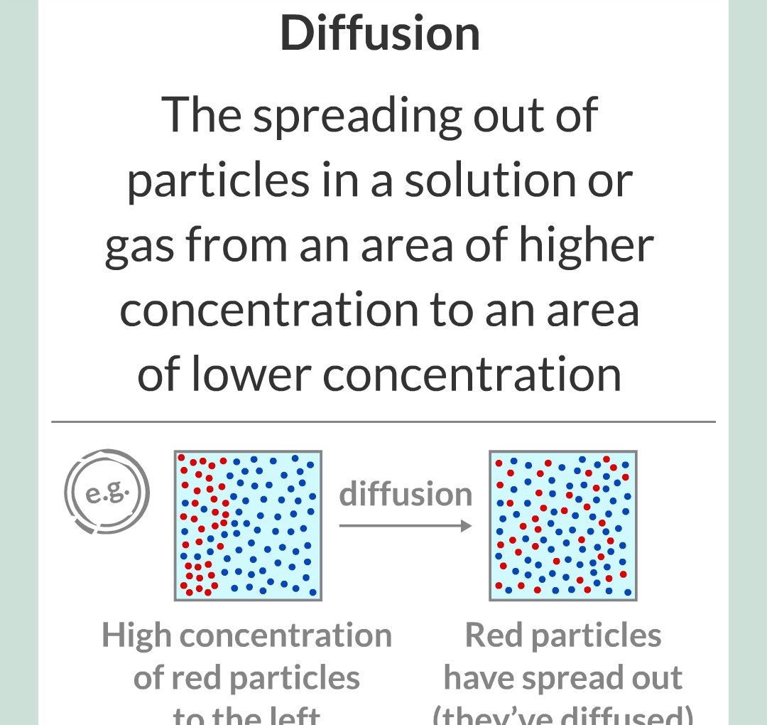 ../../../Biology/Biology Flashcards/0610 MC Questions from Key Cards/1 - Cell Biology/5 - Diffusion, Osmosis and Active Transport/02.png