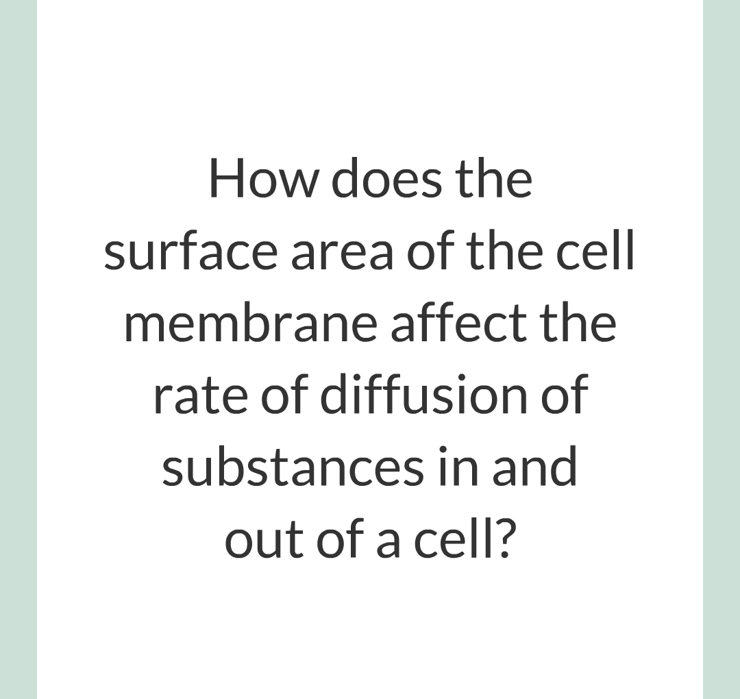 ../../../Biology/Biology Flashcards/0610 MC Questions from Key Cards/1 - Cell Biology/5 - Diffusion, Osmosis and Active Transport/07.png