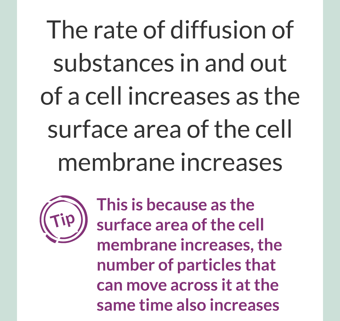 ../../../Biology/Biology Flashcards/0610 MC Questions from Key Cards/1 - Cell Biology/5 - Diffusion, Osmosis and Active Transport/08.png