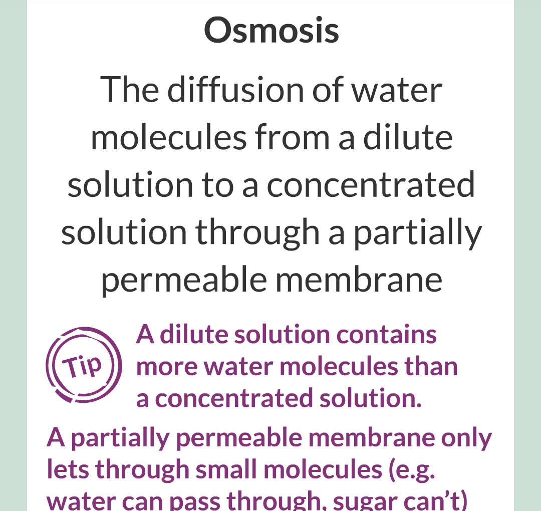 ../../../Biology/Biology Flashcards/0610 MC Questions from Key Cards/1 - Cell Biology/5 - Diffusion, Osmosis and Active Transport/12.png