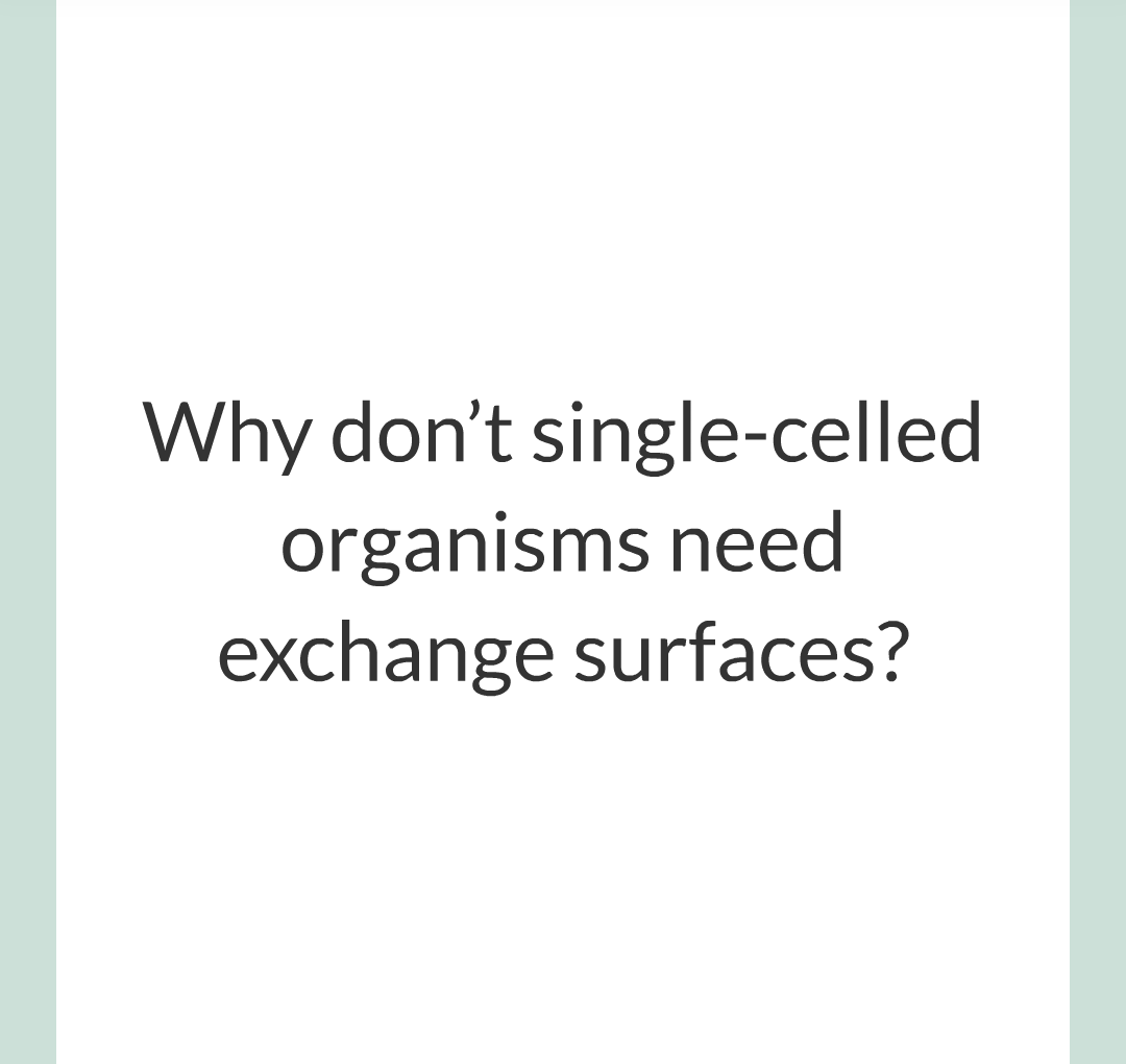 ../../../Biology/Biology Flashcards/0610 MC Questions from Key Cards/1 - Cell Biology/6 - Exchanging Substances/05.png