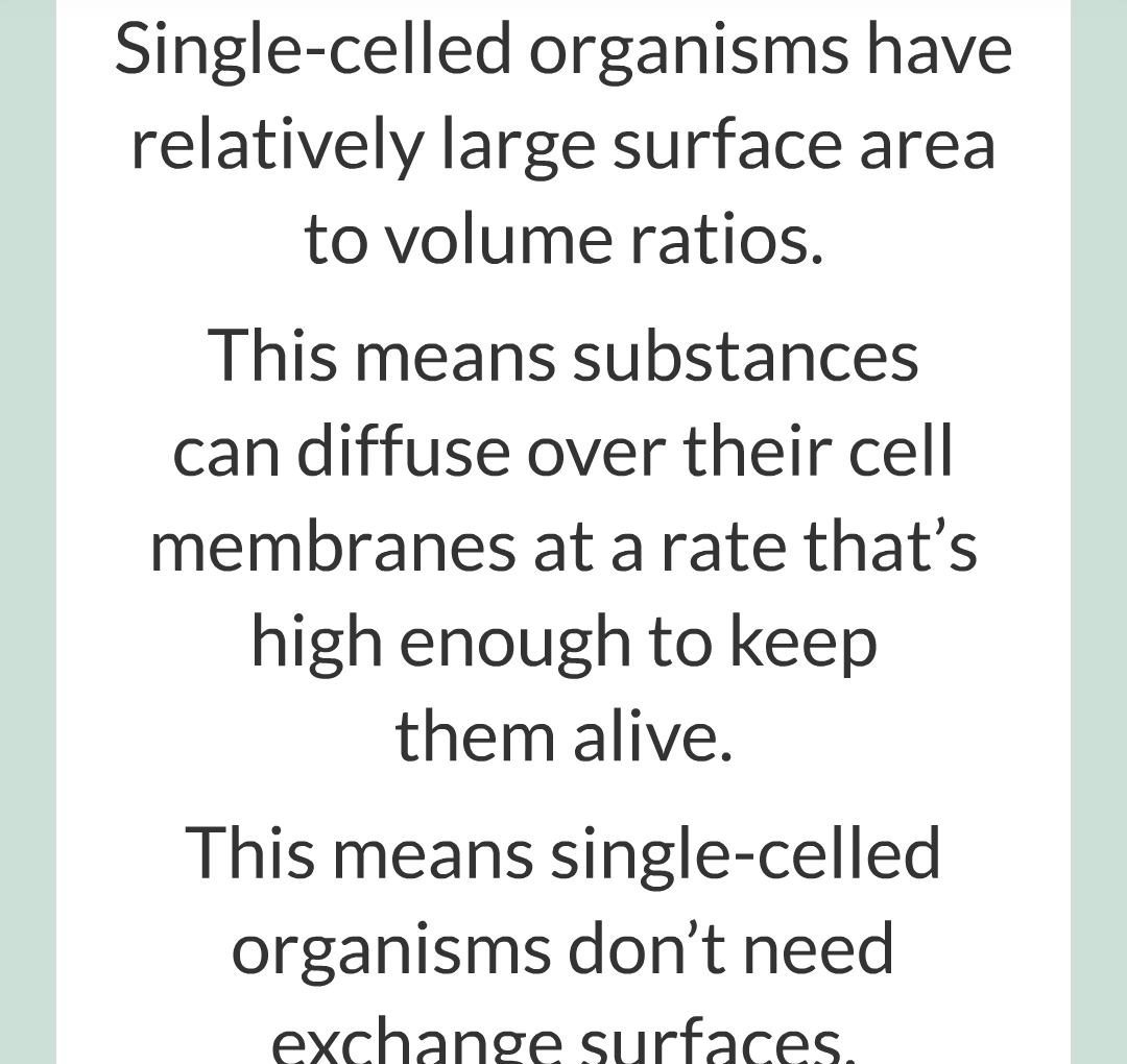 ../../../Biology/Biology Flashcards/0610 MC Questions from Key Cards/1 - Cell Biology/6 - Exchanging Substances/06.png