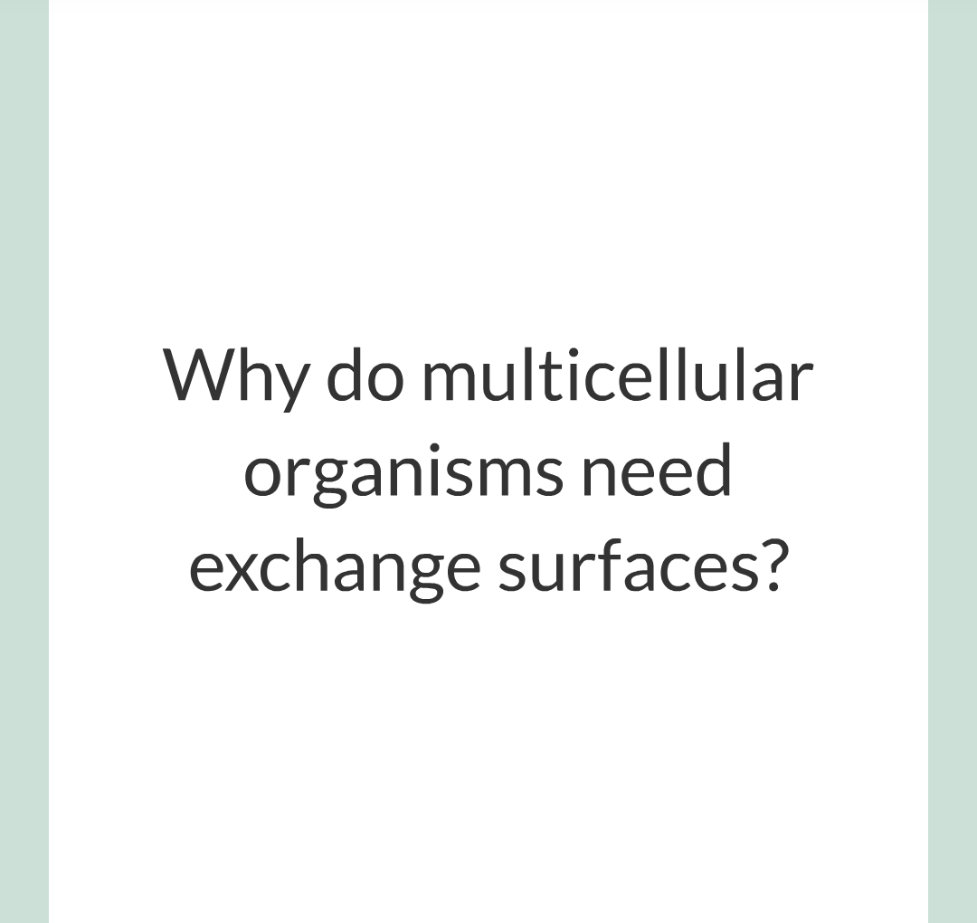 ../../../Biology/Biology Flashcards/0610 MC Questions from Key Cards/1 - Cell Biology/6 - Exchanging Substances/07.png