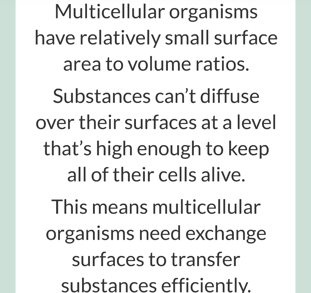 ../../../Biology/Biology Flashcards/0610 MC Questions from Key Cards/1 - Cell Biology/6 - Exchanging Substances/08.png