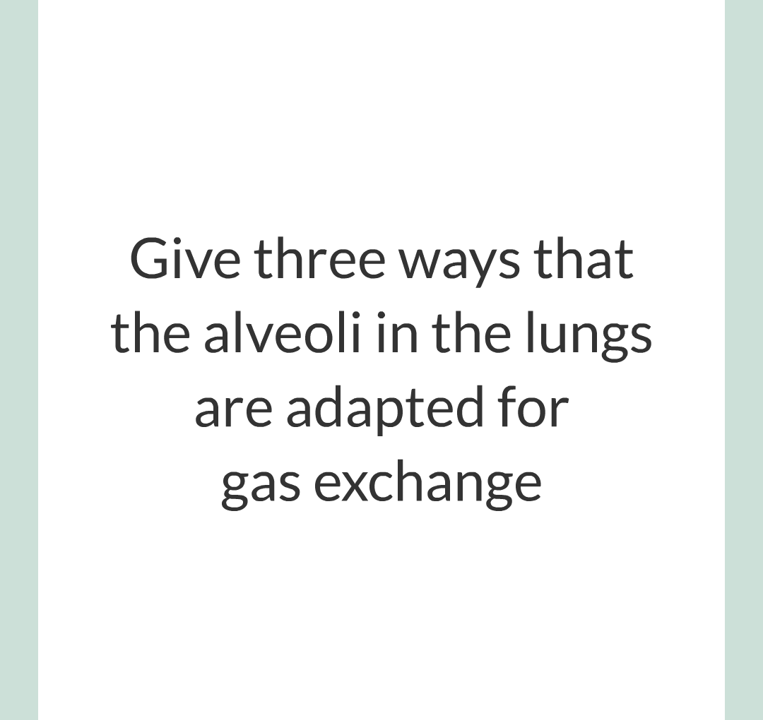../../../Biology/Biology Flashcards/0610 MC Questions from Key Cards/1 - Cell Biology/6 - Exchanging Substances/13.png