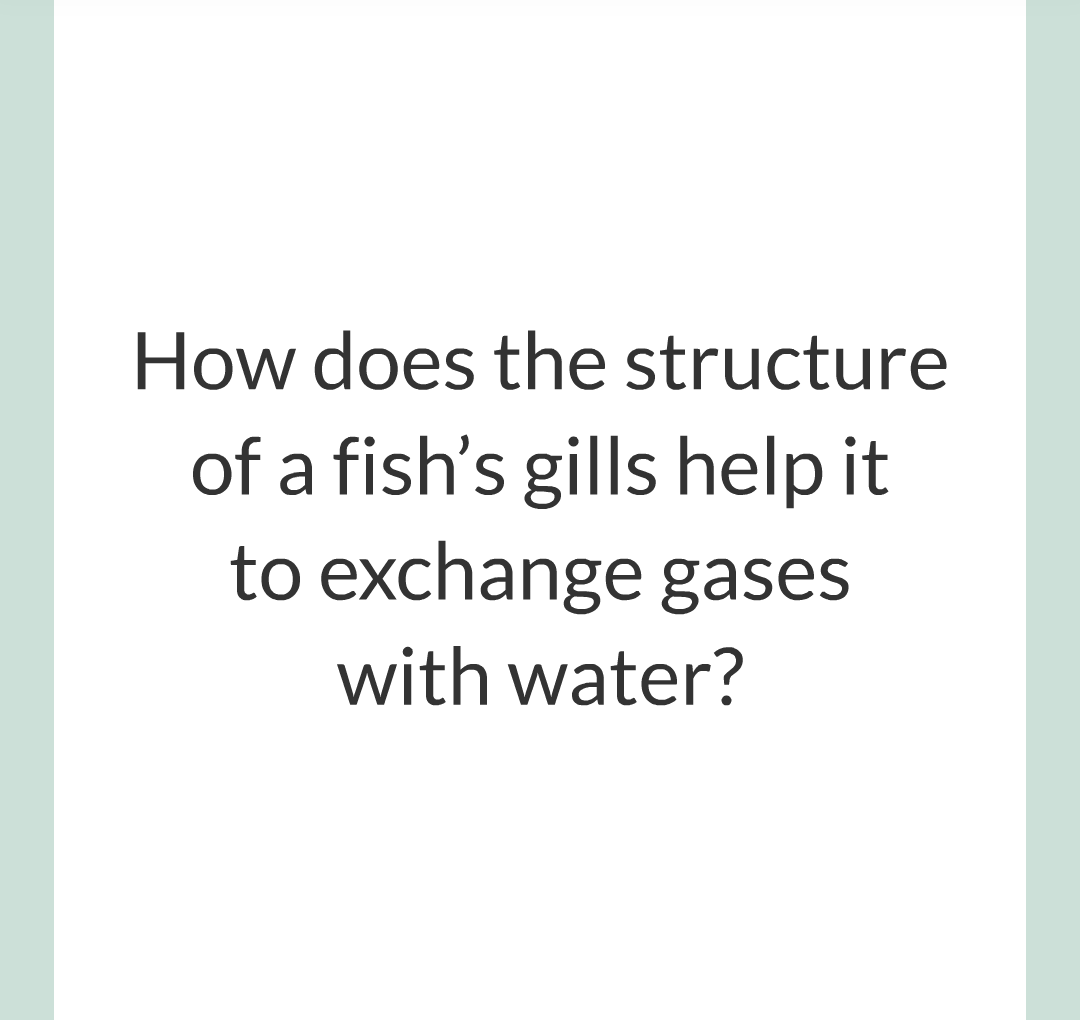 ../../../Biology/Biology Flashcards/0610 MC Questions from Key Cards/1 - Cell Biology/6 - Exchanging Substances/17.png