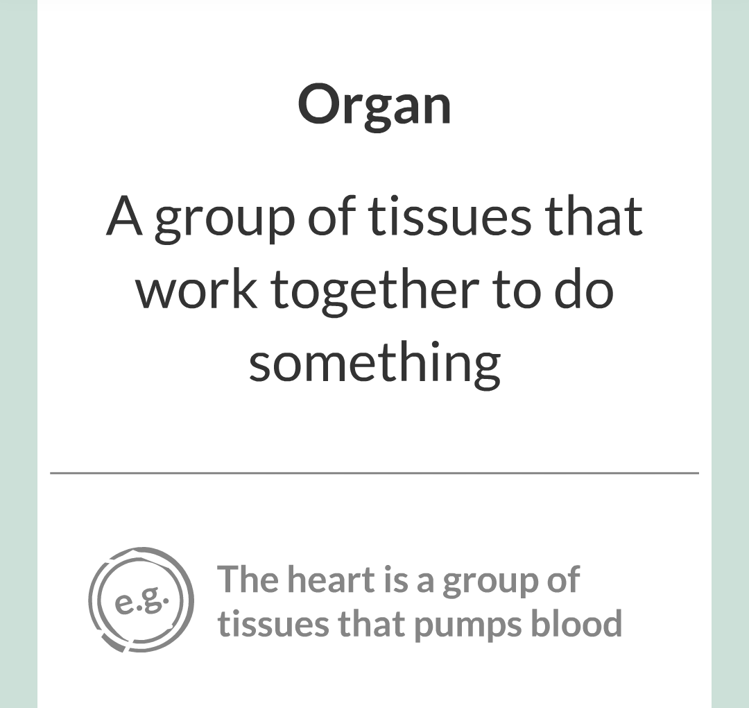 ../../../Biology/Biology Flashcards/0610 MC Questions from Key Cards/2 - Organization/1 - Principles of Organization/04.png