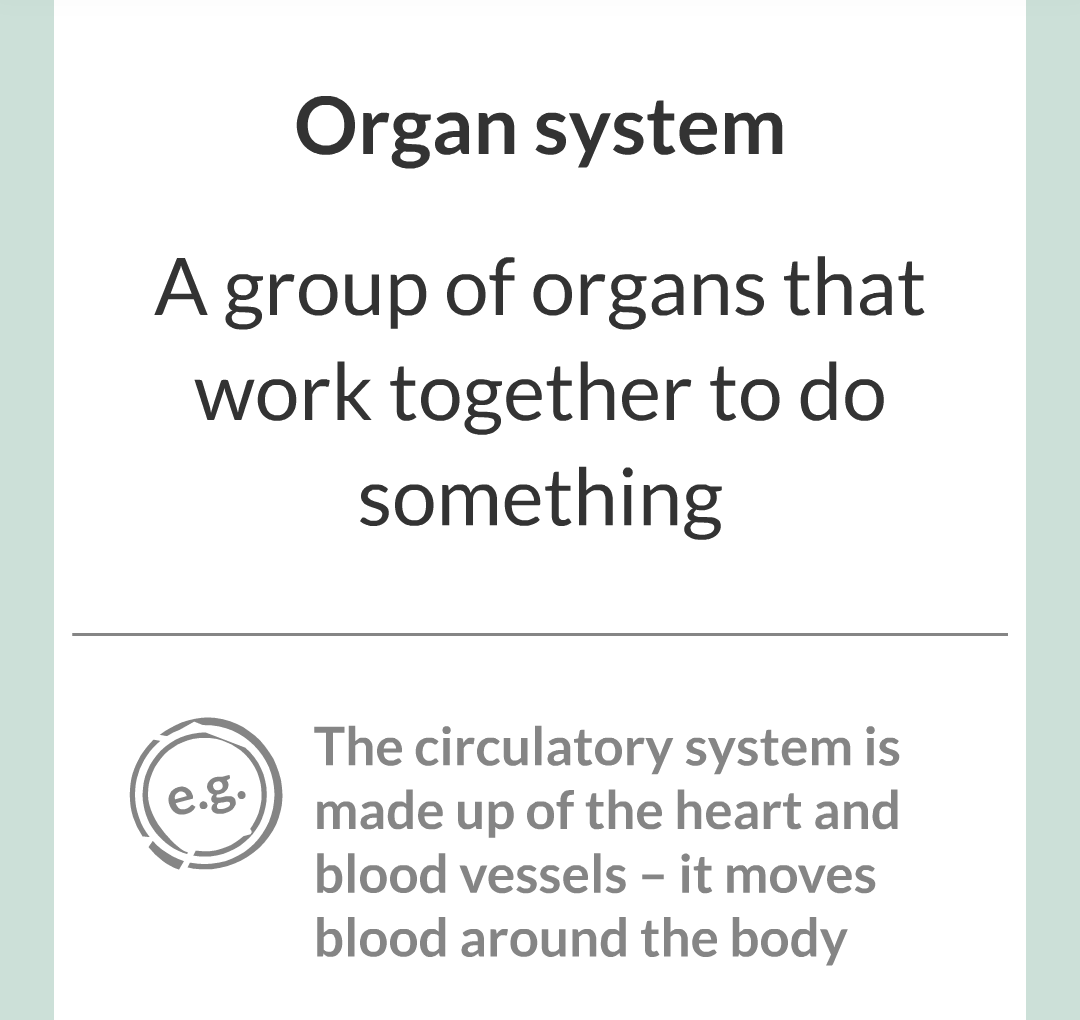 ../../../Biology/Biology Flashcards/0610 MC Questions from Key Cards/2 - Organization/1 - Principles of Organization/06.png
