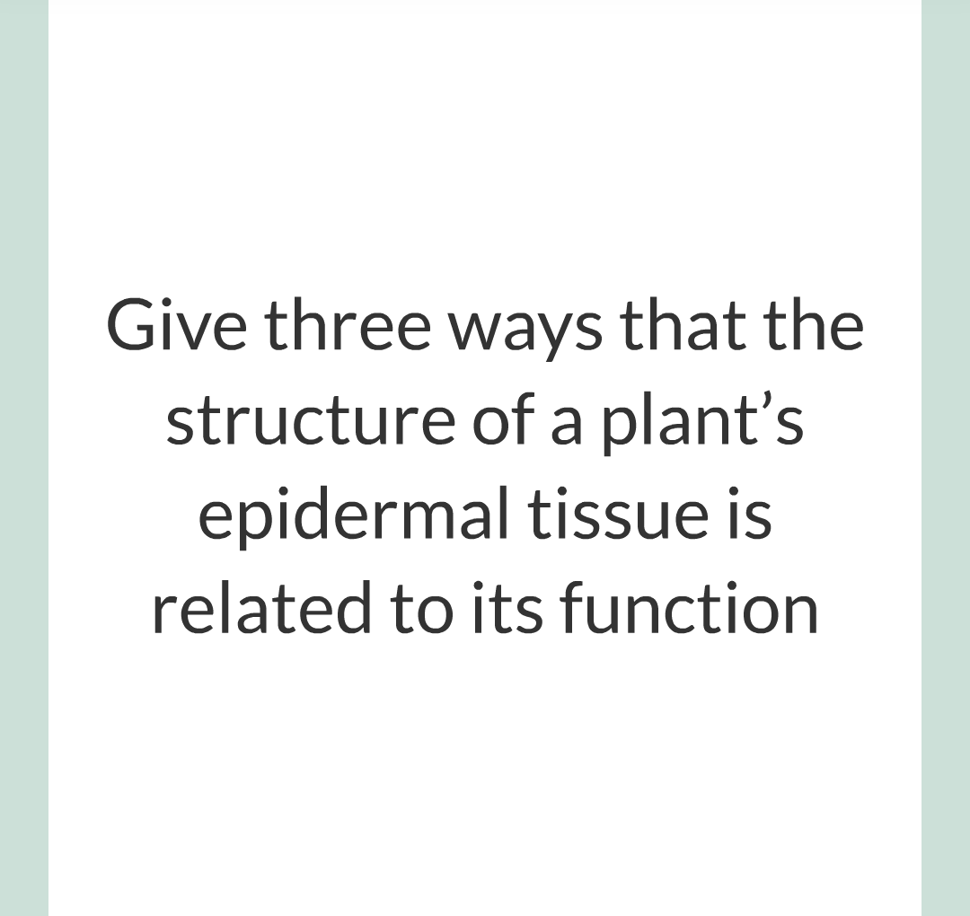 ../../../Biology/Biology Flashcards/0610 MC Questions from Key Cards/2 - Organization/11 - Plant Leaves and Tissues/05.png