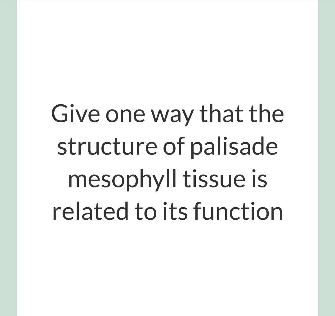 ../../../Biology/Biology Flashcards/0610 MC Questions from Key Cards/2 - Organization/11 - Plant Leaves and Tissues/07.png