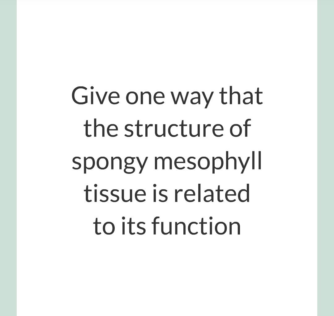 ../../../Biology/Biology Flashcards/0610 MC Questions from Key Cards/2 - Organization/11 - Plant Leaves and Tissues/09.png
