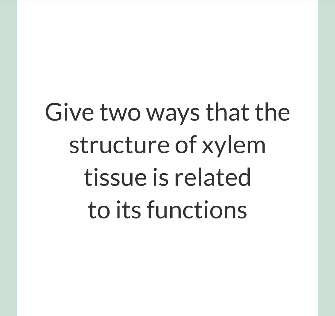 ../../../Biology/Biology Flashcards/0610 MC Questions from Key Cards/2 - Organization/11 - Plant Leaves and Tissues/11.png