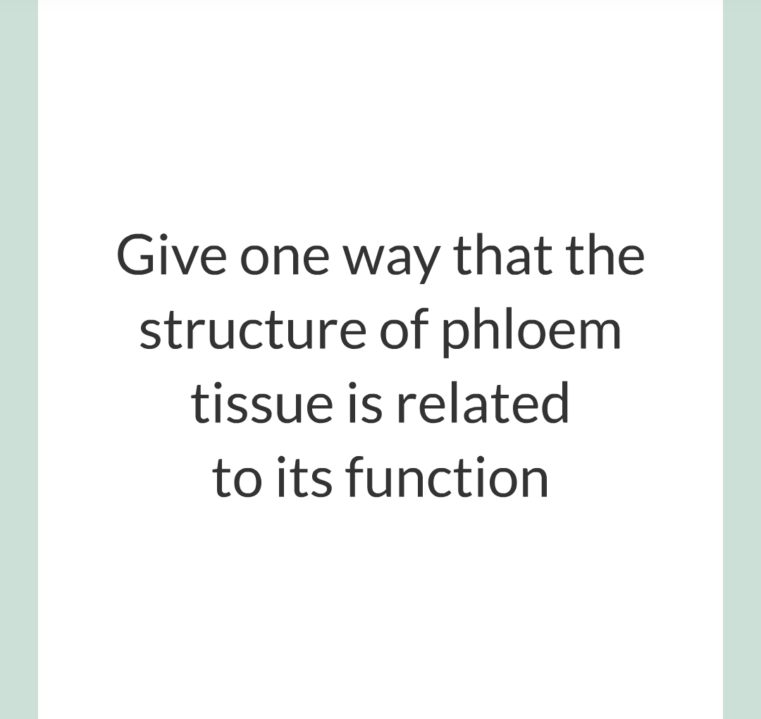 ../../../Biology/Biology Flashcards/0610 MC Questions from Key Cards/2 - Organization/11 - Plant Leaves and Tissues/13.png