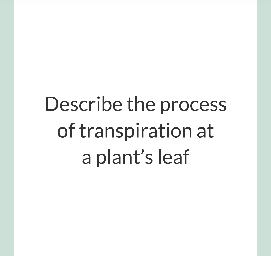 ../../../Biology/Biology Flashcards/0610 MC Questions from Key Cards/2 - Organization/12 - Transpiration and Translocation/05.png