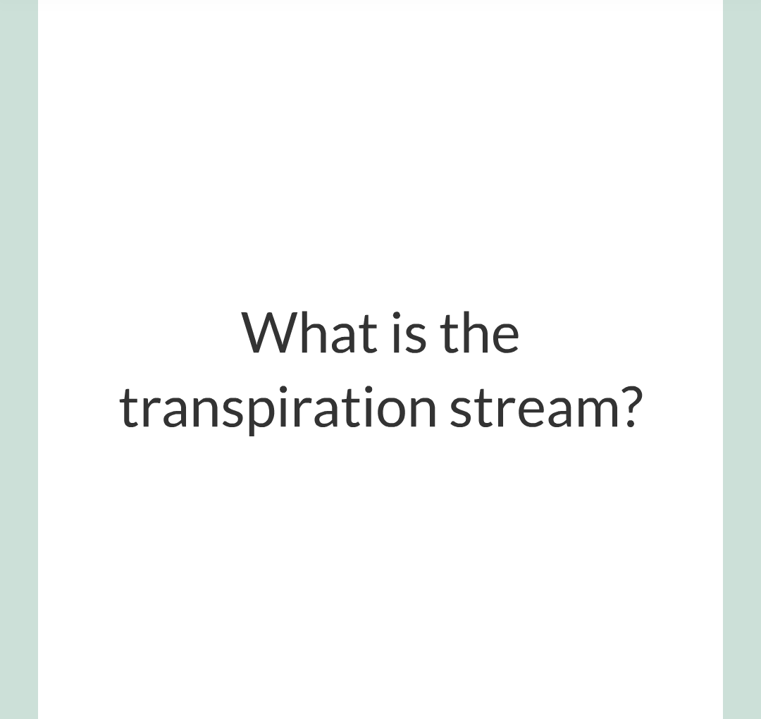 ../../../Biology/Biology Flashcards/0610 MC Questions from Key Cards/2 - Organization/12 - Transpiration and Translocation/07.png
