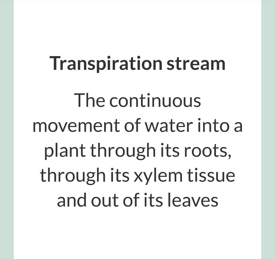 ../../../Biology/Biology Flashcards/0610 MC Questions from Key Cards/2 - Organization/12 - Transpiration and Translocation/08.png