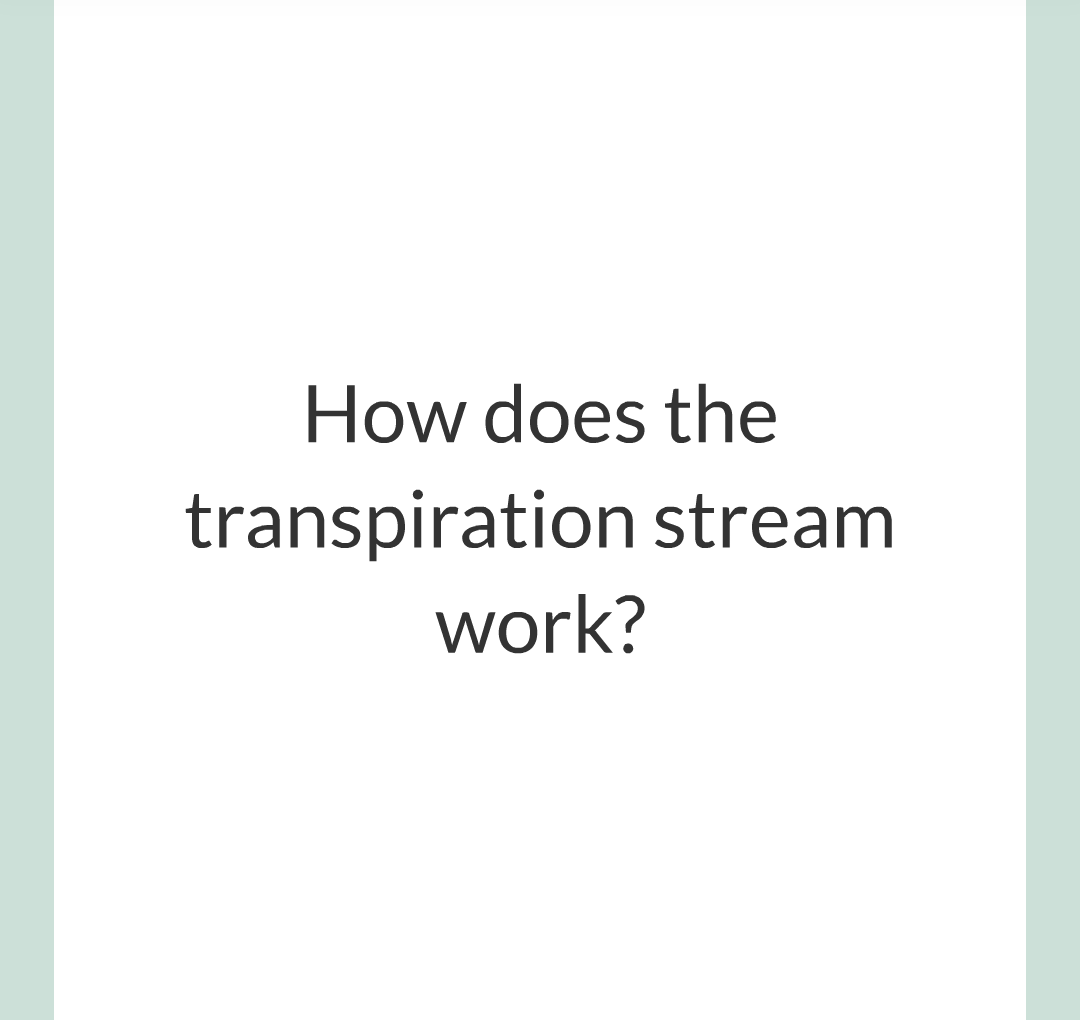 ../../../Biology/Biology Flashcards/0610 MC Questions from Key Cards/2 - Organization/12 - Transpiration and Translocation/09.png
