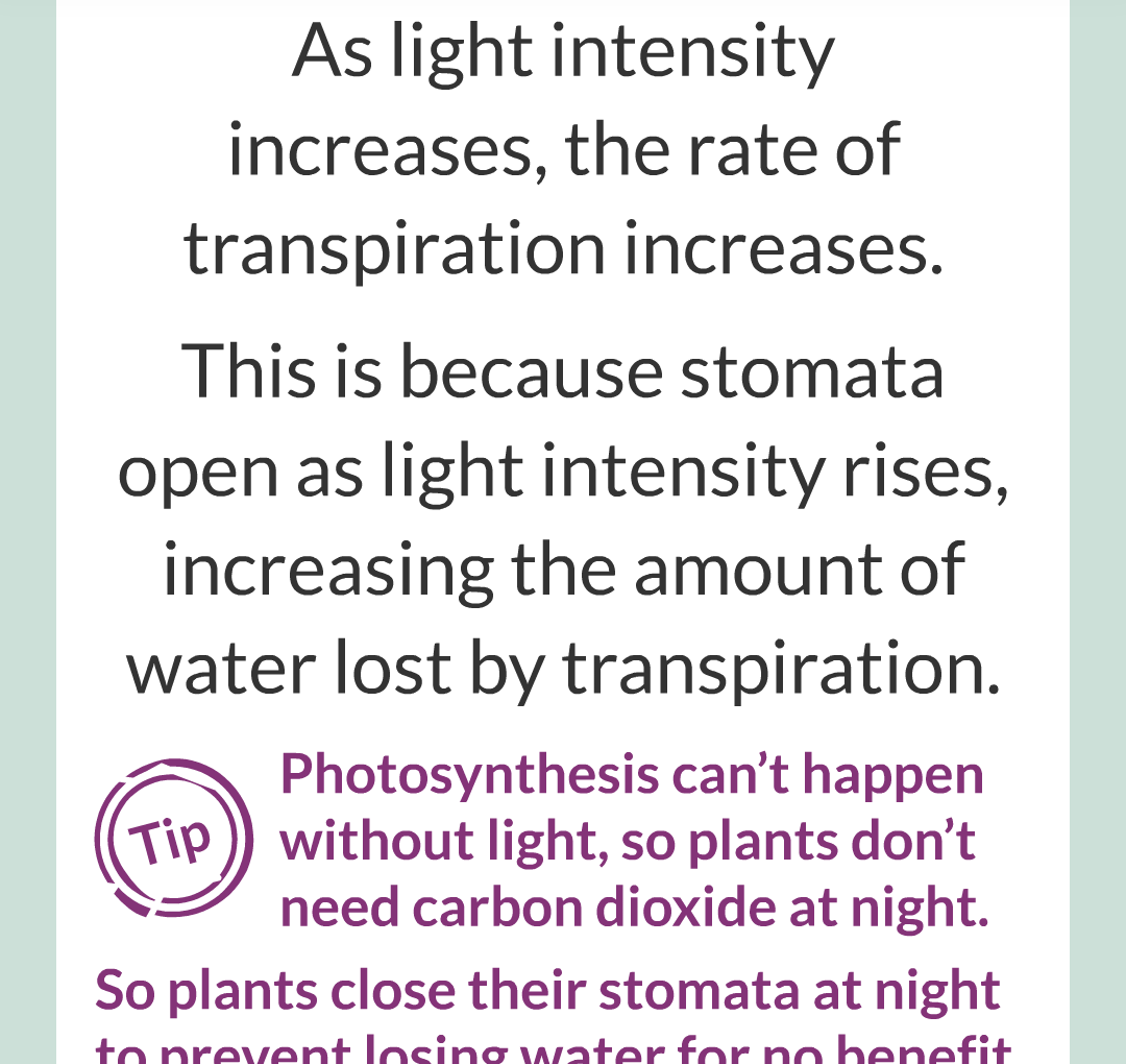 ../../../Biology/Biology Flashcards/0610 MC Questions from Key Cards/2 - Organization/12 - Transpiration and Translocation/12.png