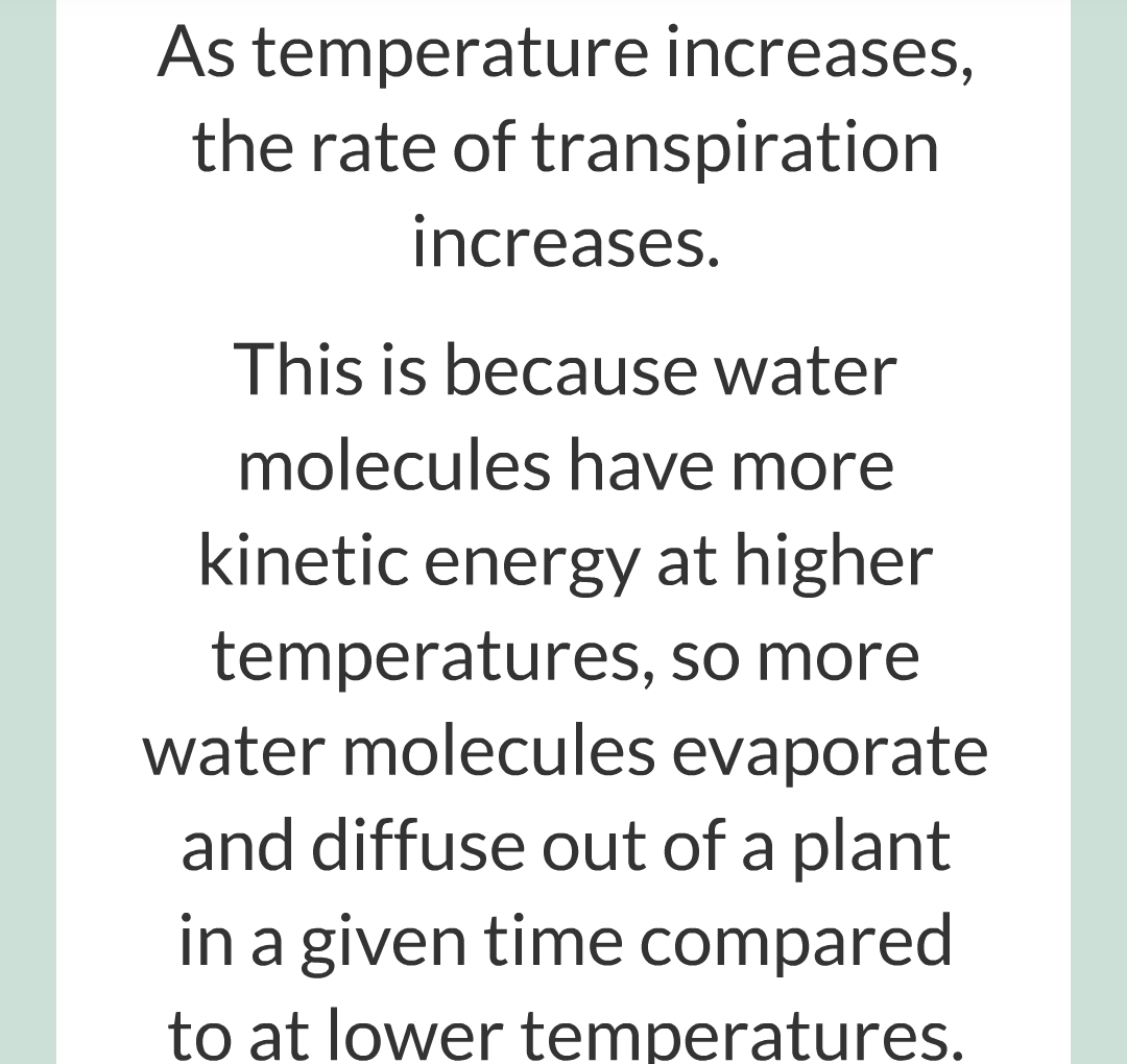 ../../../Biology/Biology Flashcards/0610 MC Questions from Key Cards/2 - Organization/12 - Transpiration and Translocation/14.png