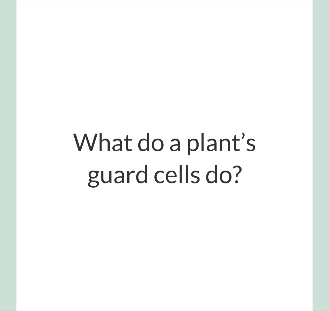 ../../../Biology/Biology Flashcards/0610 MC Questions from Key Cards/2 - Organization/13 - Stomata and Guard Cells/07.png