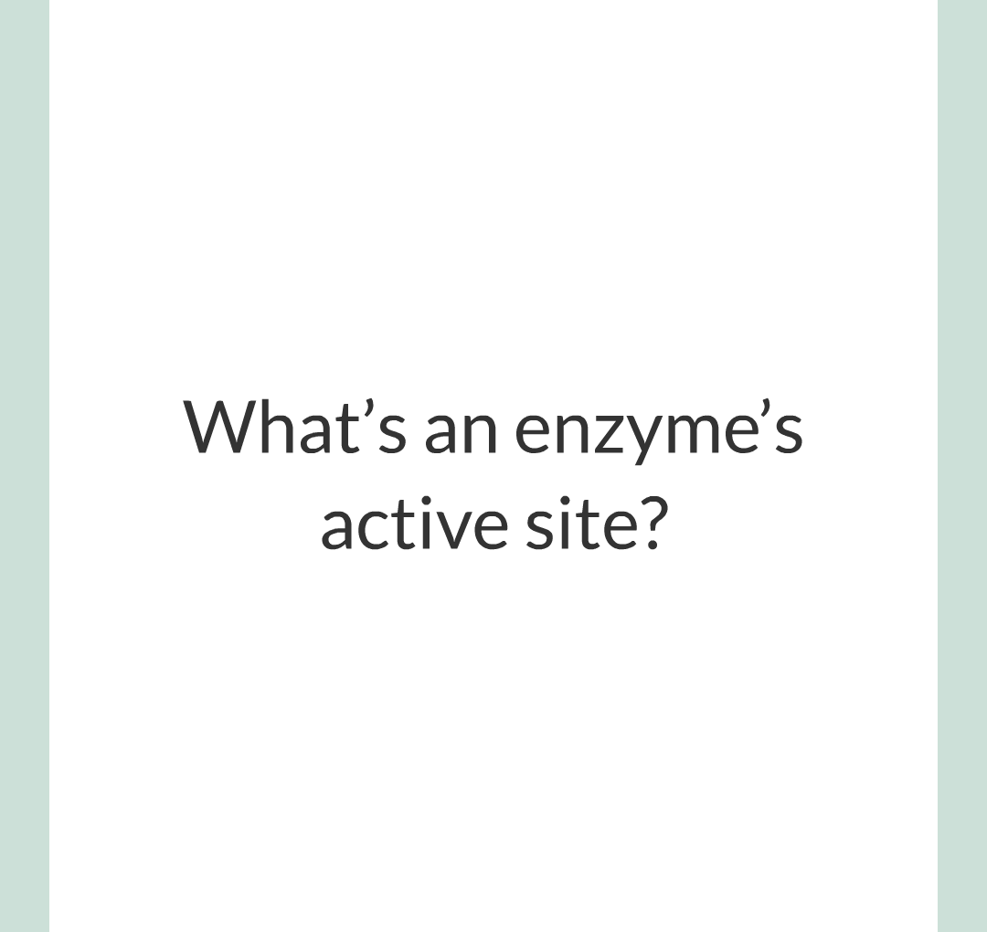 ../../../Biology/Biology Flashcards/0610 MC Questions from Key Cards/2 - Organization/2 - Enzymes/03.png