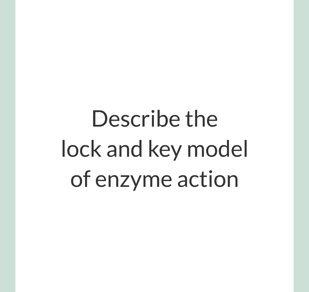 ../../../Biology/Biology Flashcards/0610 MC Questions from Key Cards/2 - Organization/2 - Enzymes/07.png