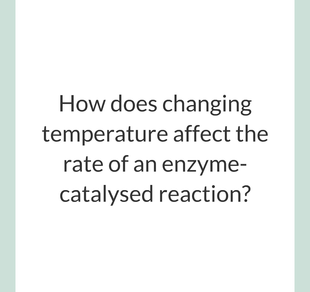 ../../../Biology/Biology Flashcards/0610 MC Questions from Key Cards/2 - Organization/2 - Enzymes/11.png