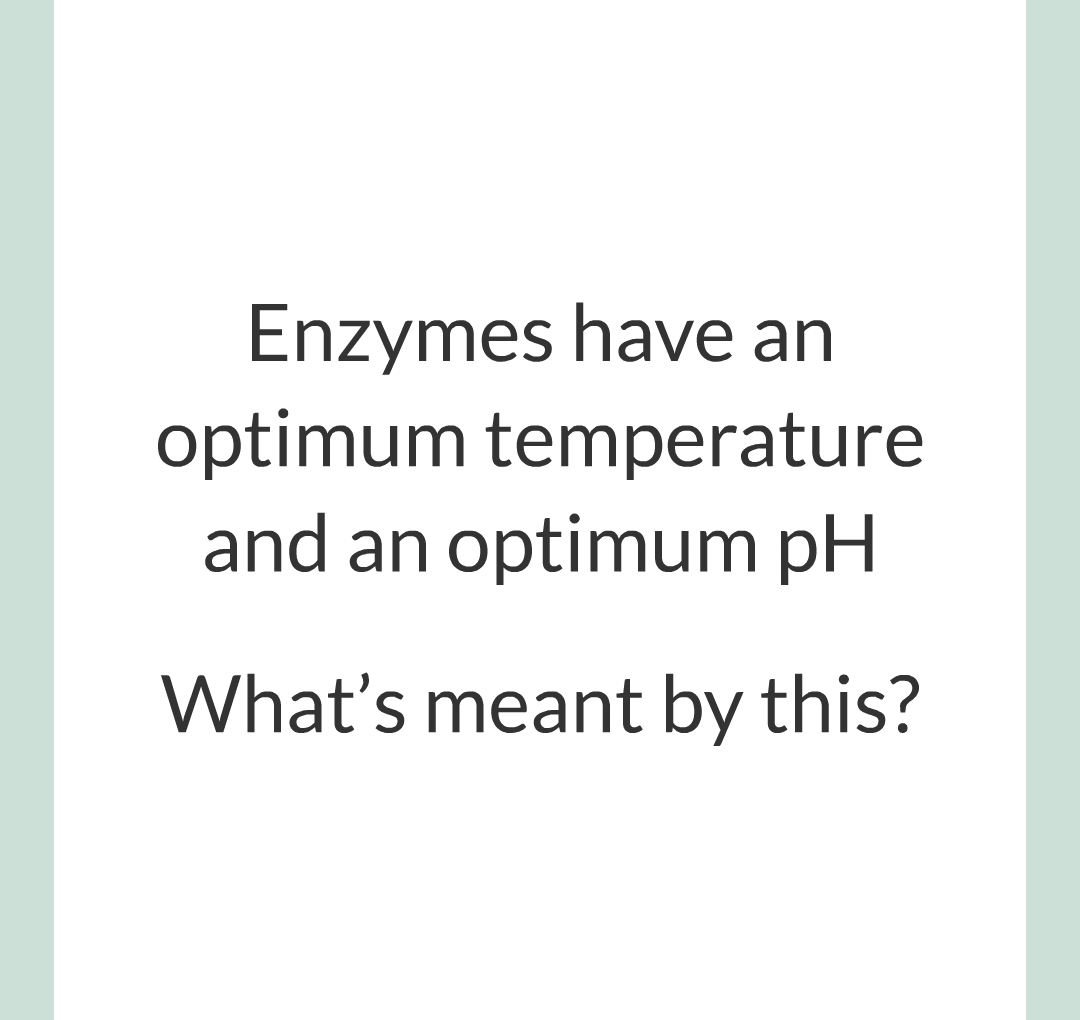 ../../../Biology/Biology Flashcards/0610 MC Questions from Key Cards/2 - Organization/2 - Enzymes/13.png