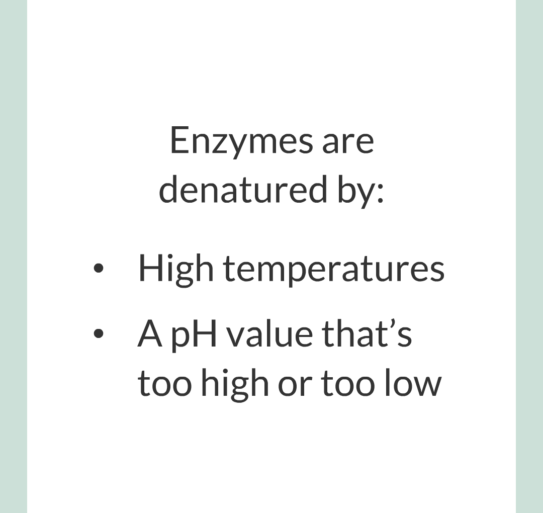 ../../../Biology/Biology Flashcards/0610 MC Questions from Key Cards/2 - Organization/2 - Enzymes/16.png