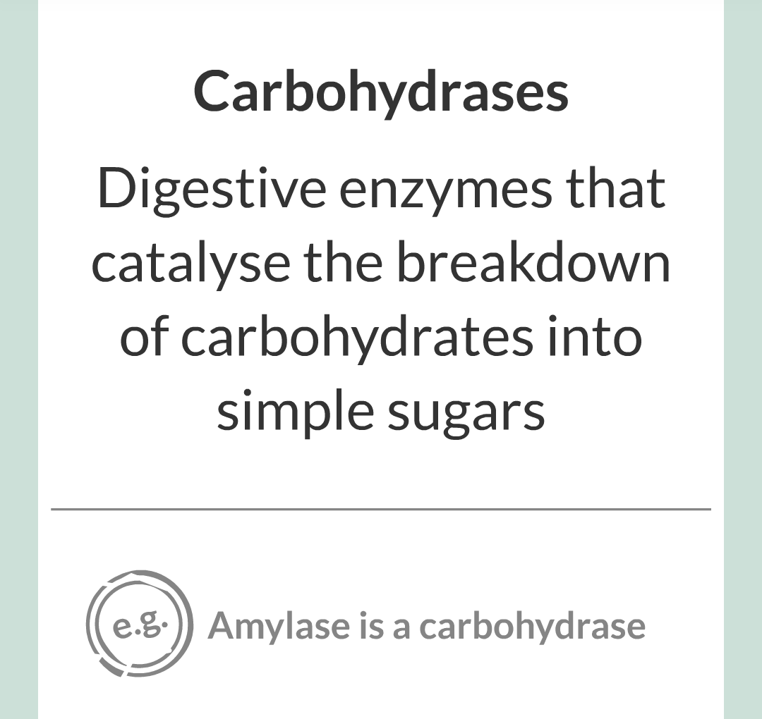 ../../../Biology/Biology Flashcards/0610 MC Questions from Key Cards/2 - Organization/3 - Digestion and Enzymes/06.png