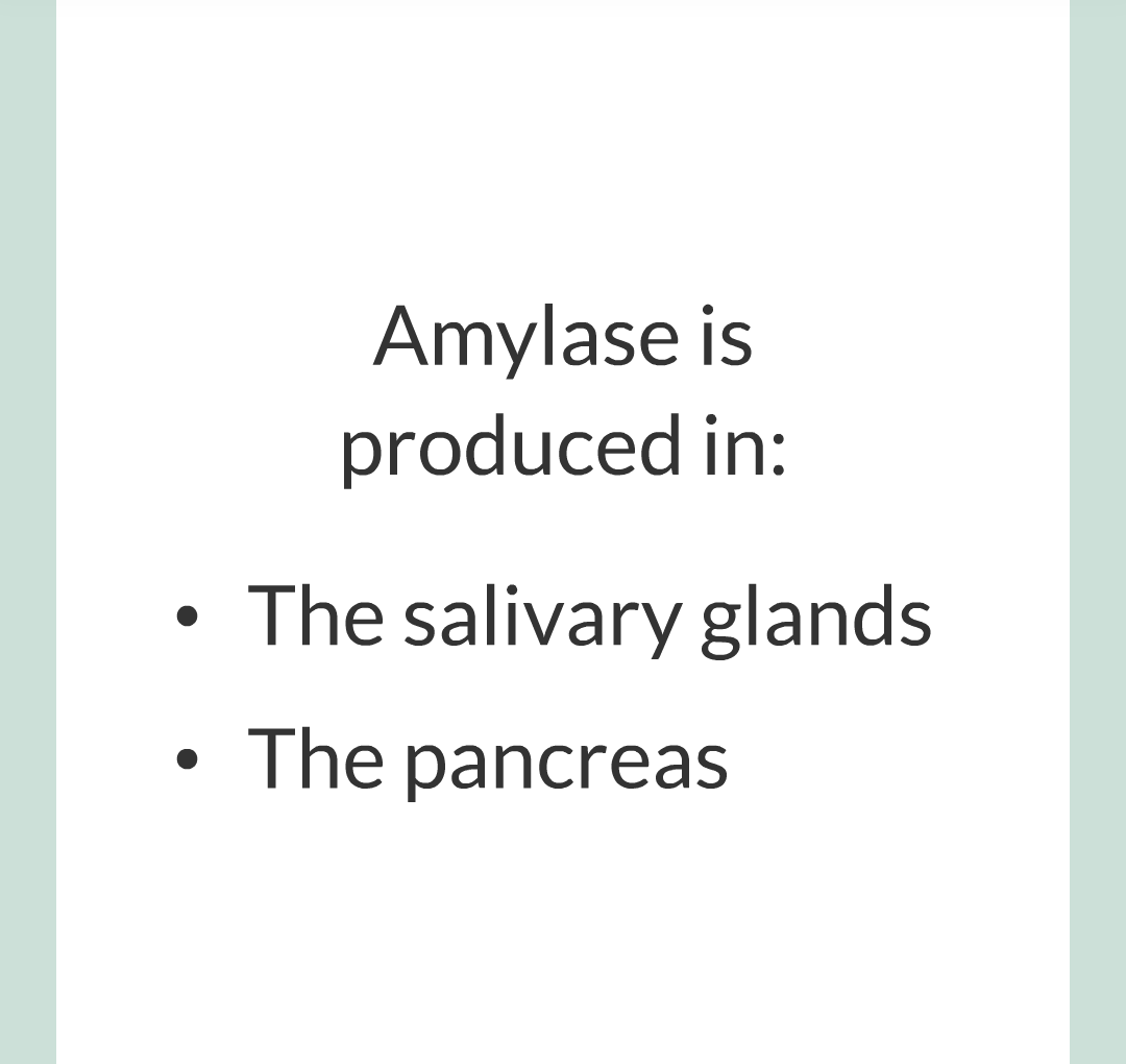 ../../../Biology/Biology Flashcards/0610 MC Questions from Key Cards/2 - Organization/3 - Digestion and Enzymes/10.png