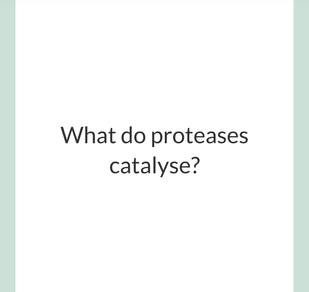 ../../../Biology/Biology Flashcards/0610 MC Questions from Key Cards/2 - Organization/3 - Digestion and Enzymes/11.png