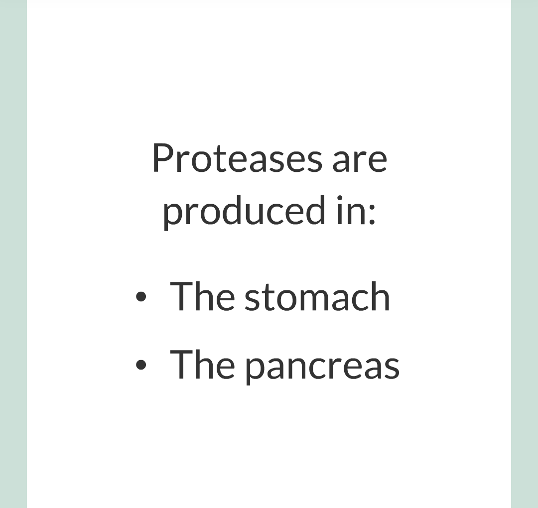 ../../../Biology/Biology Flashcards/0610 MC Questions from Key Cards/2 - Organization/3 - Digestion and Enzymes/14.png