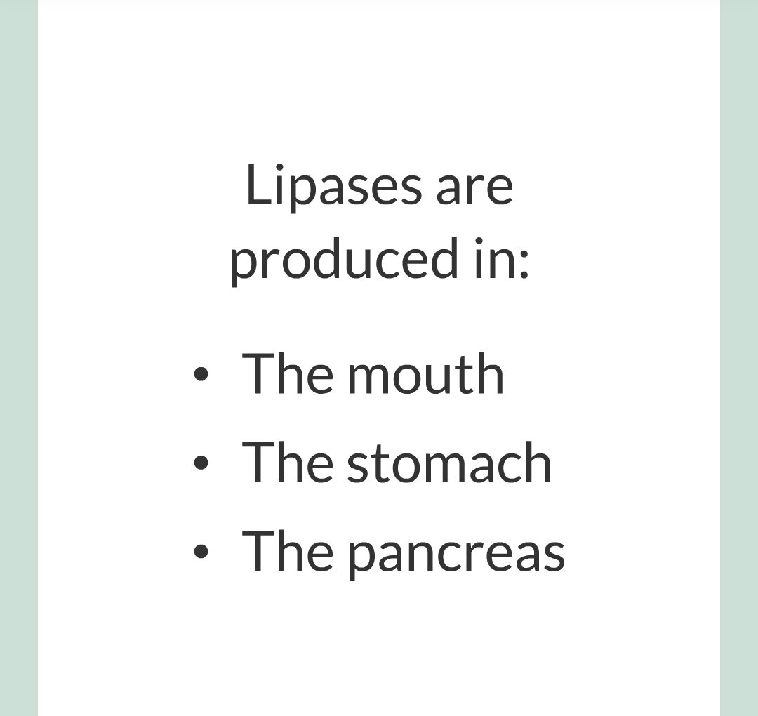 ../../../Biology/Biology Flashcards/0610 MC Questions from Key Cards/2 - Organization/3 - Digestion and Enzymes/18.png