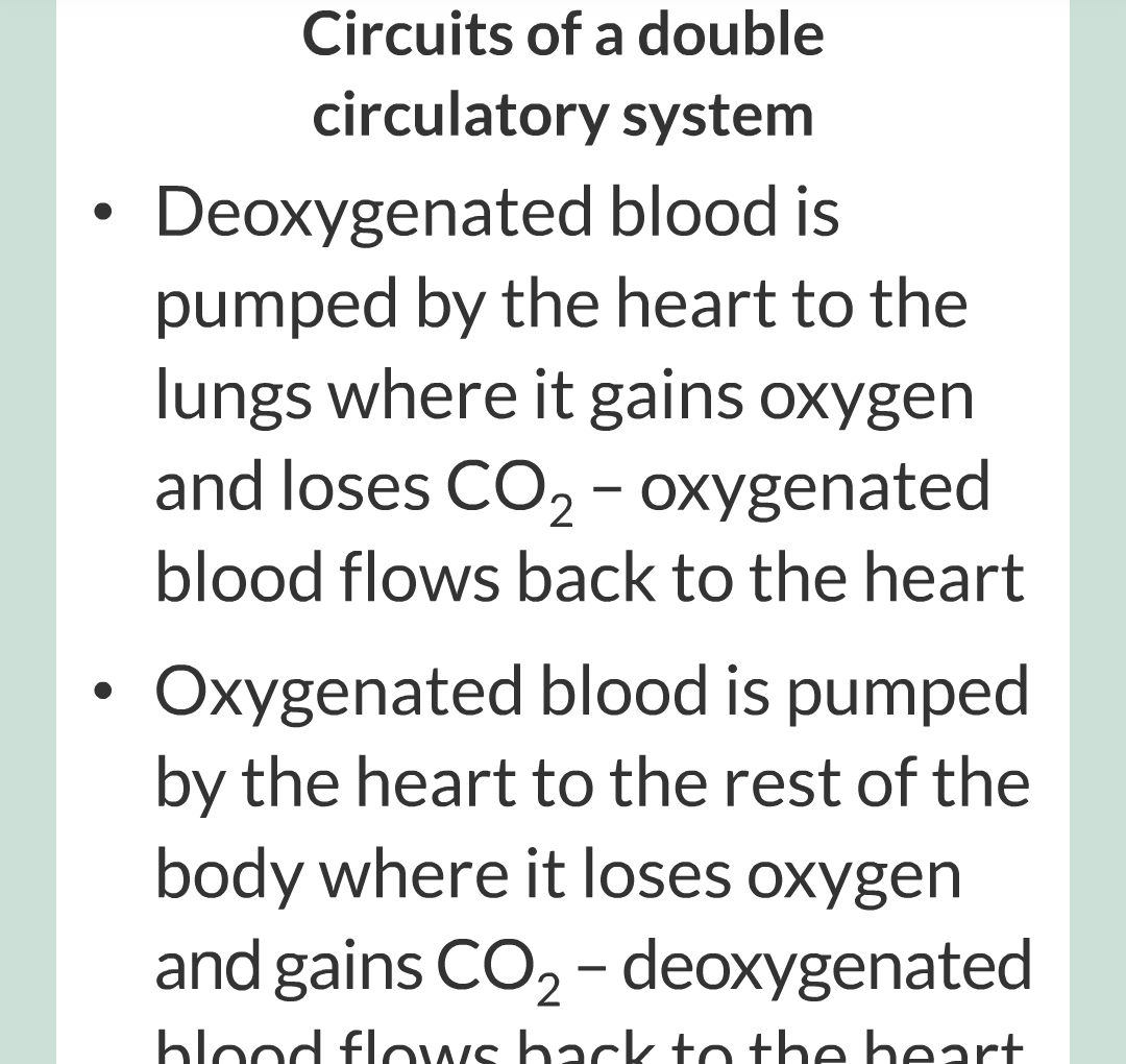 ../../../Biology/Biology Flashcards/0610 MC Questions from Key Cards/2 - Organization/5 - The Lungs and Heart/08.png