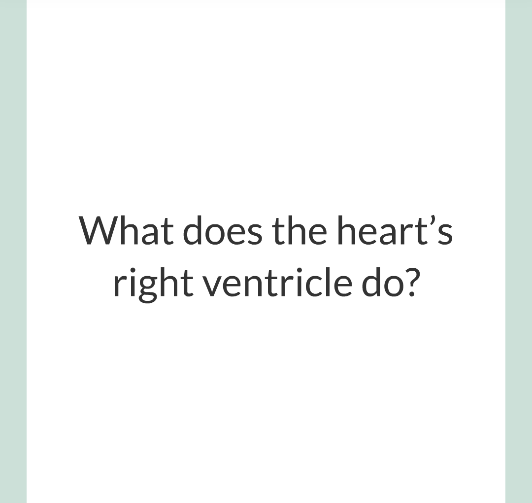 ../../../Biology/Biology Flashcards/0610 MC Questions from Key Cards/2 - Organization/5 - The Lungs and Heart/11.png