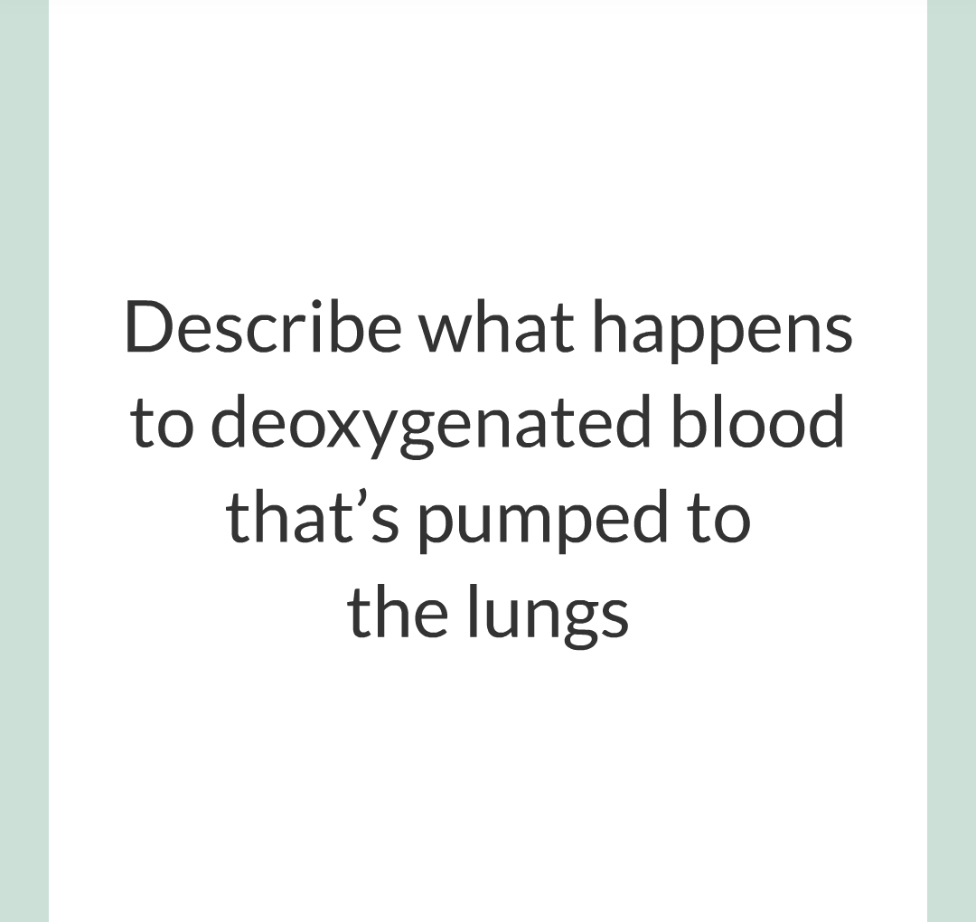 ../../../Biology/Biology Flashcards/0610 MC Questions from Key Cards/2 - Organization/5 - The Lungs and Heart/13.png