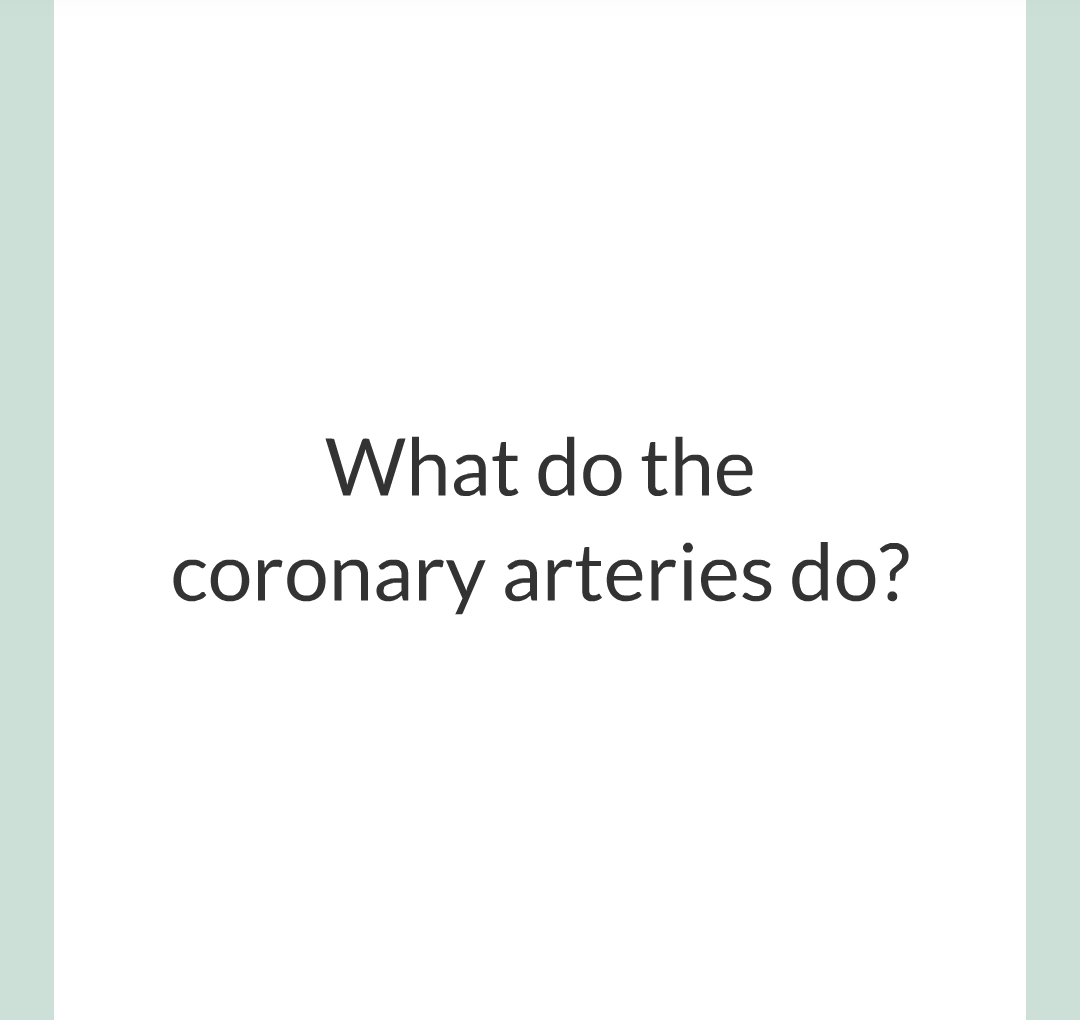 ../../../Biology/Biology Flashcards/0610 MC Questions from Key Cards/2 - Organization/5 - The Lungs and Heart/19.png