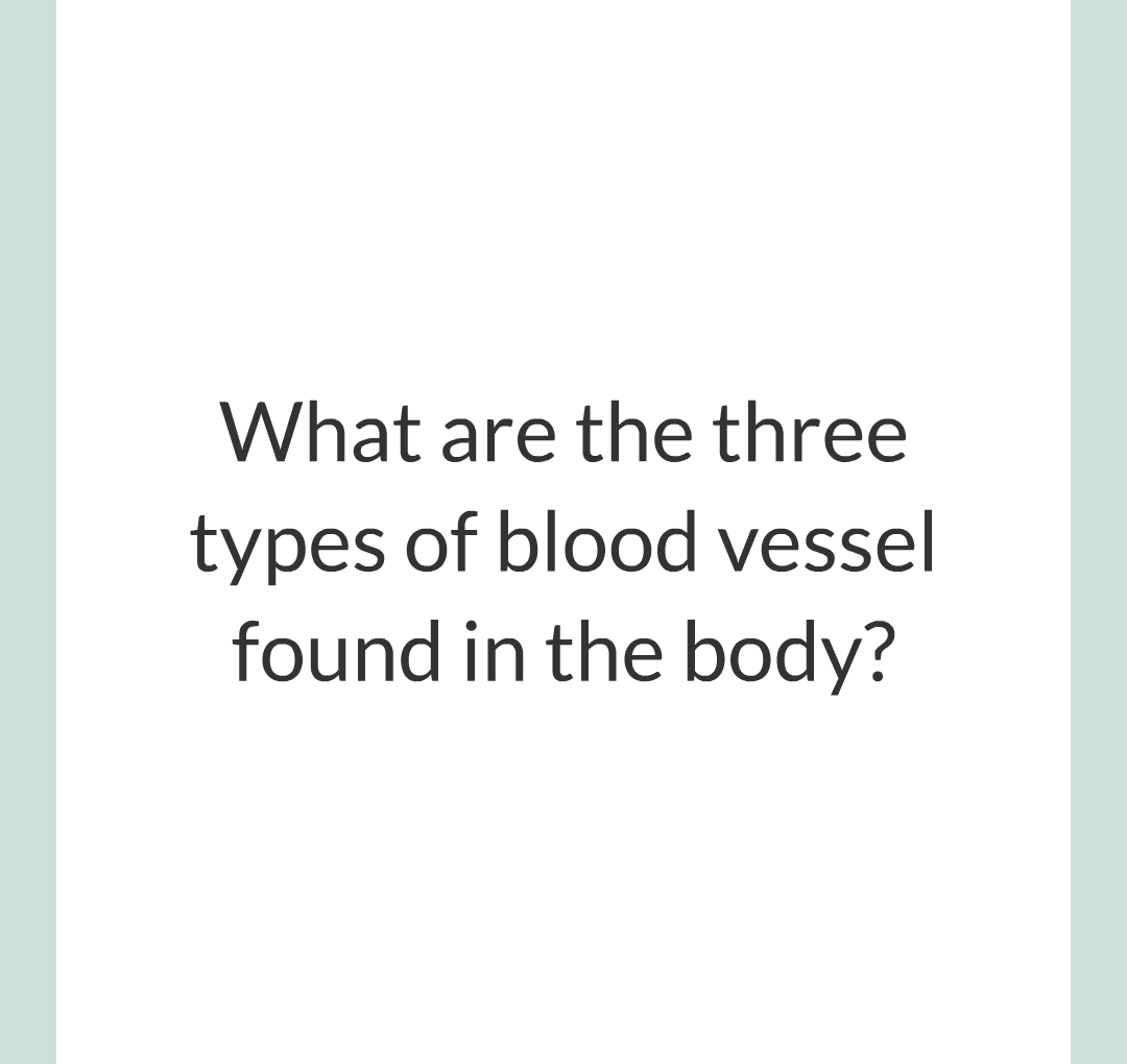 ../../../Biology/Biology Flashcards/0610 MC Questions from Key Cards/2 - Organization/6 - Blood Vessels and Blood/01.png